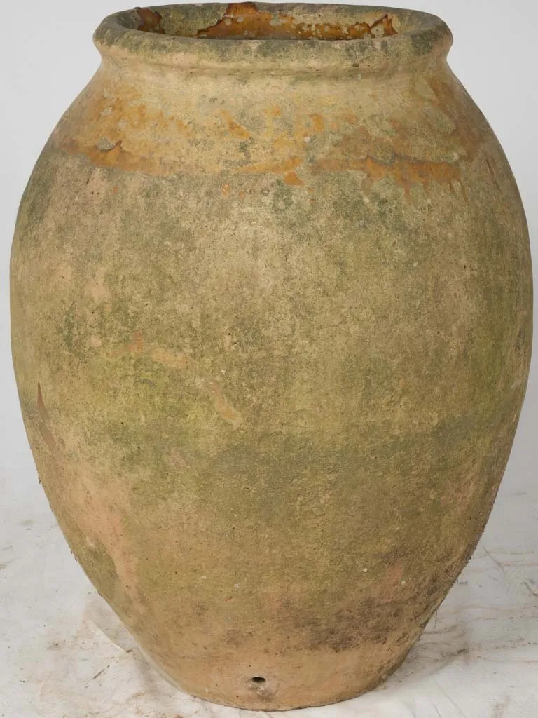 16th Century Fréjus Olive Jar w/ 3 Exceptional Maker's Stamps - 33"