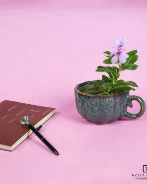 Blue Cup Ceramic Planter Without Plant