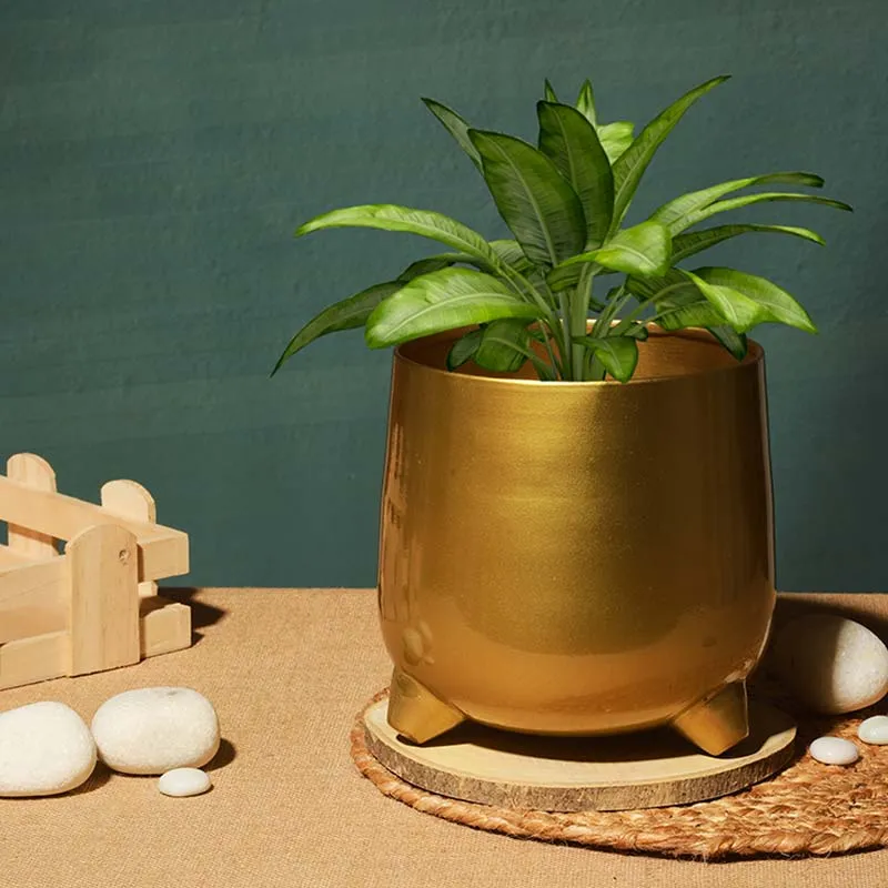 Classic Gold-Toned Solid Metal Planter With legs | Golden | Plant Not Included