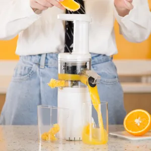 Compact Electric Juicer for Home Use