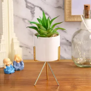 Downtown Succulents Artificial Plant with Ceramic Pot & Metal Tripod Stand | 10 inches