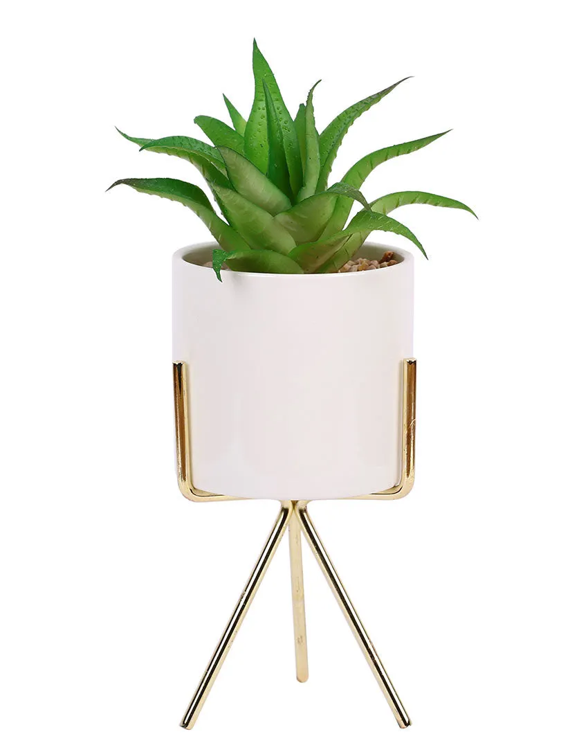 Downtown Succulents Artificial Plant with Ceramic Pot & Metal Tripod Stand | 10 inches