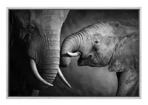 Elephant Touch | Canvas Wall Art Print