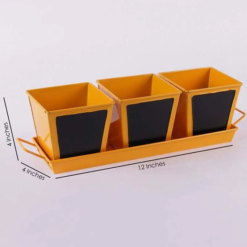 Go Green Planter Set- Orange