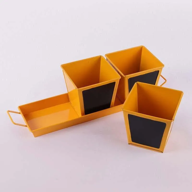 Go Green Planter Set- Orange