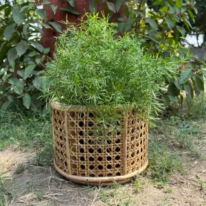 Hallett Natural Fibre Planter