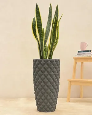 High Grey Diamond Plastic Planter | Plant Not Included