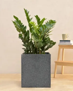 Modern Grey Cubic Plastic Planter