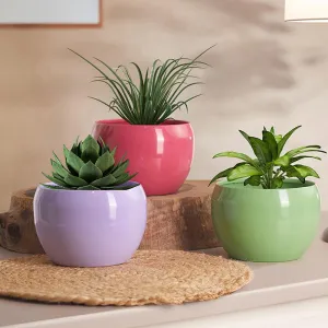 Nectera Metal Planter (Purple/Pink/Green) - Set Of Three