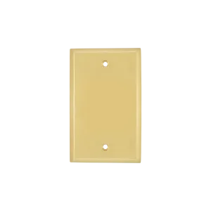 New York Switch Plate with Blank Cover in Unlacquered Brass