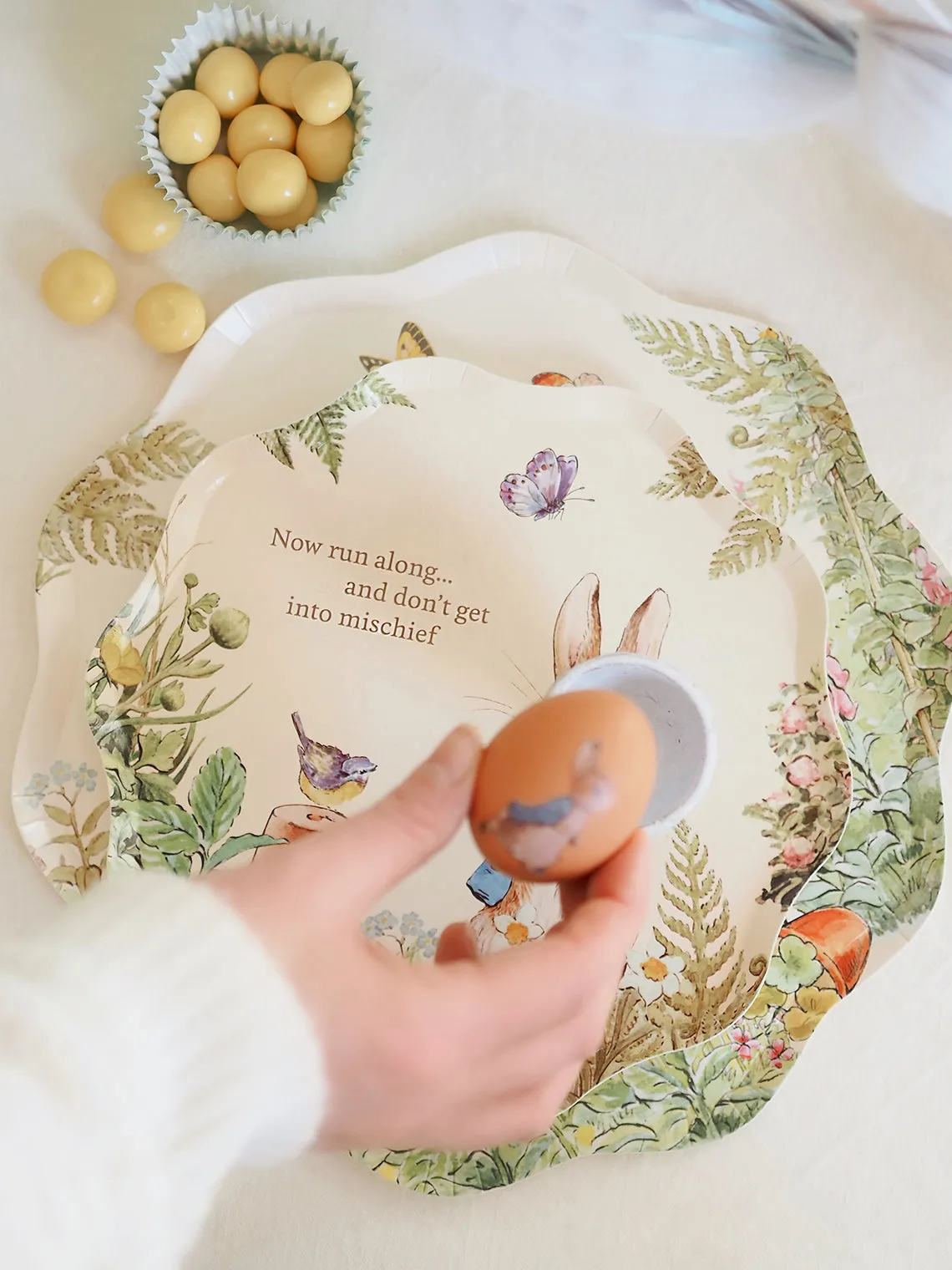 Peter Rabbit Dinner Plates