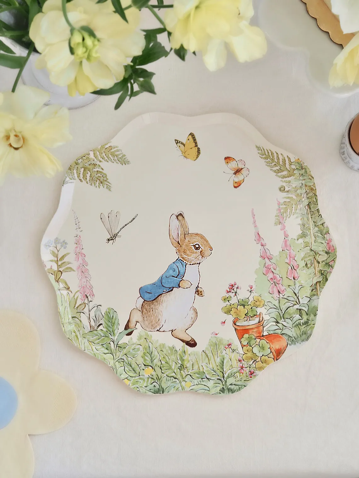 Peter Rabbit Dinner Plates