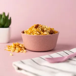 Plush Pink Rice Husk Curry Bowl  | Set of 4