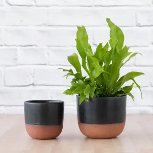 Pluto Planter - Charcoal