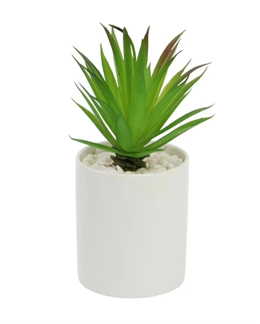 Quaint Succulents Artificial Plant with Ceramic Pot & Metal stand | 8 inches