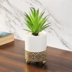 Quaint Succulents Artificial Plant with Ceramic Pot & Metal stand | 8 inches