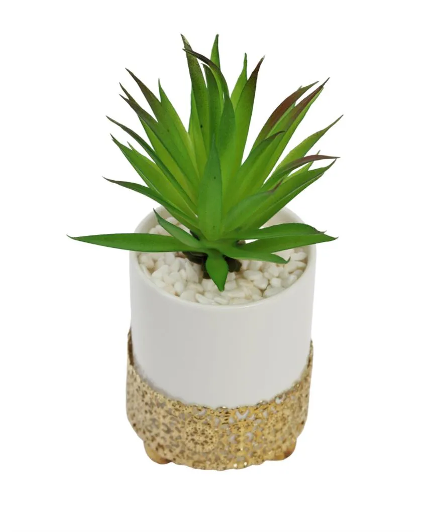 Quaint Succulents Artificial Plant with Ceramic Pot & Metal stand | 8 inches