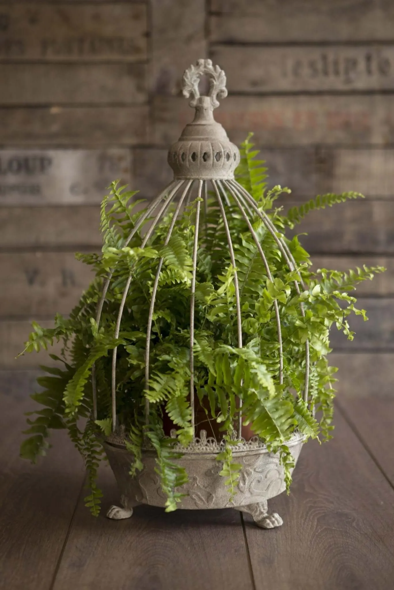 Rustic Metal Planters