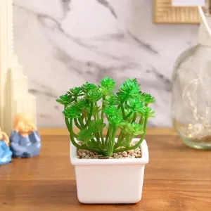 Sophisticated Succulents Artificial Plant with Ceramic Pot | 6 inches