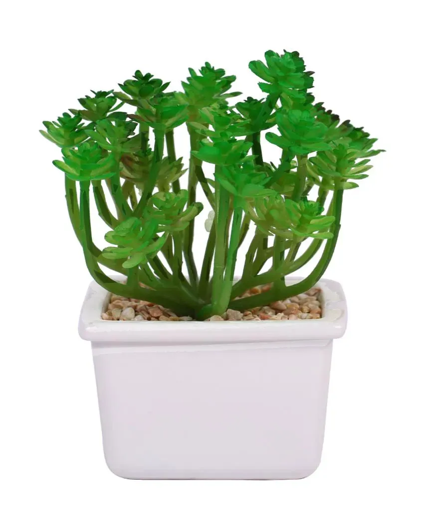 Sophisticated Succulents Artificial Plant with Ceramic Pot | 6 inches